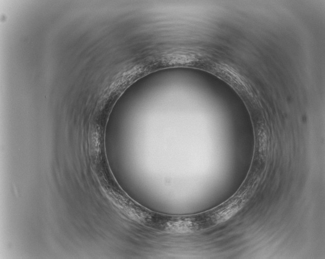 X0000060240362200510311528