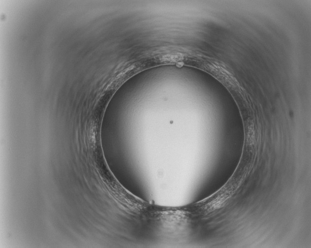 X0000060240363200510311528