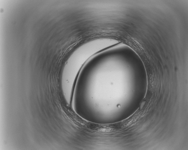 X0000060240364200510311528