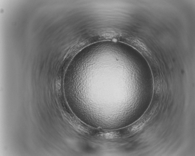 X0000060240365200510311528