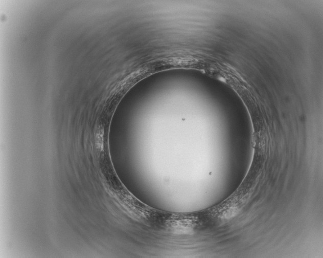 X0000060240368200510311528