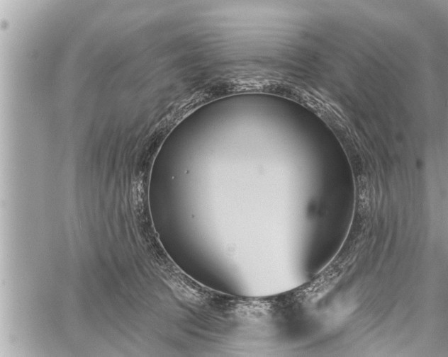 X0000060240369200510311528