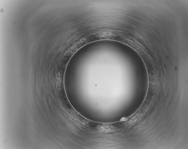 X0000060240372200510311528