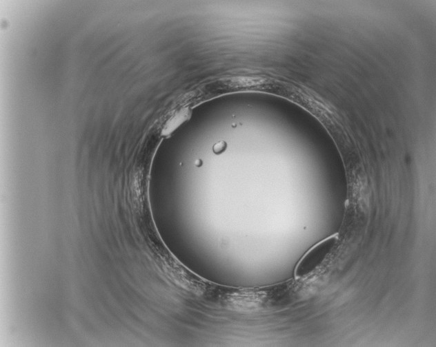 X0000060240373200510311528