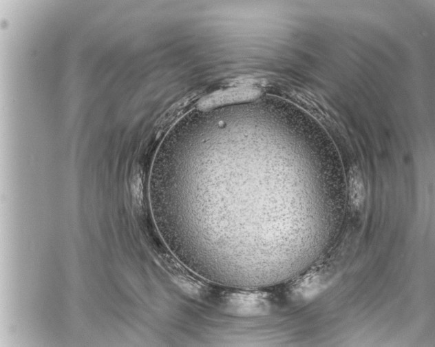 X0000060240375200510311528