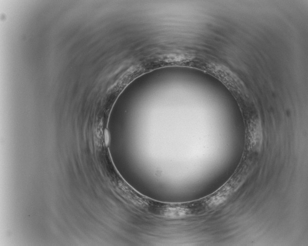 X0000060240376200510311528