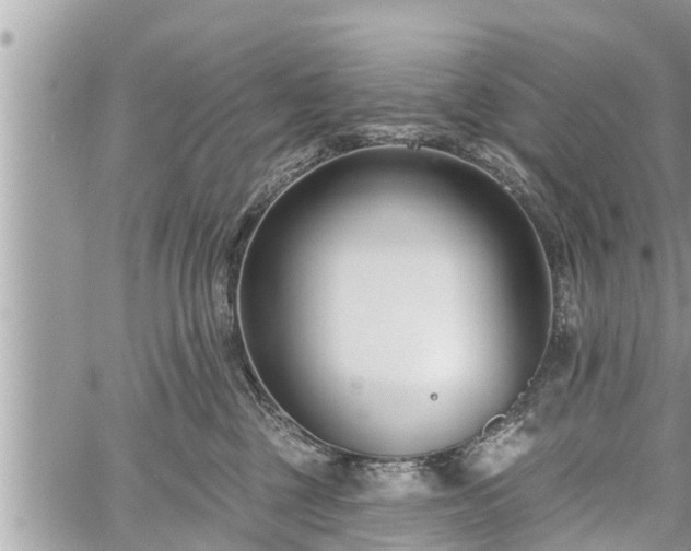 X0000060240377200510311528