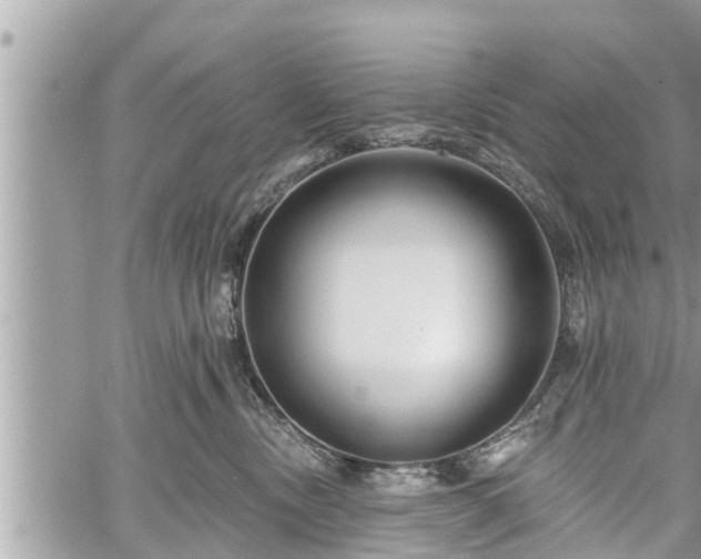 X0000060240378200510311528