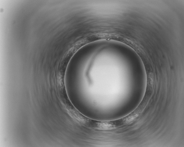 X0000060240380200510311528