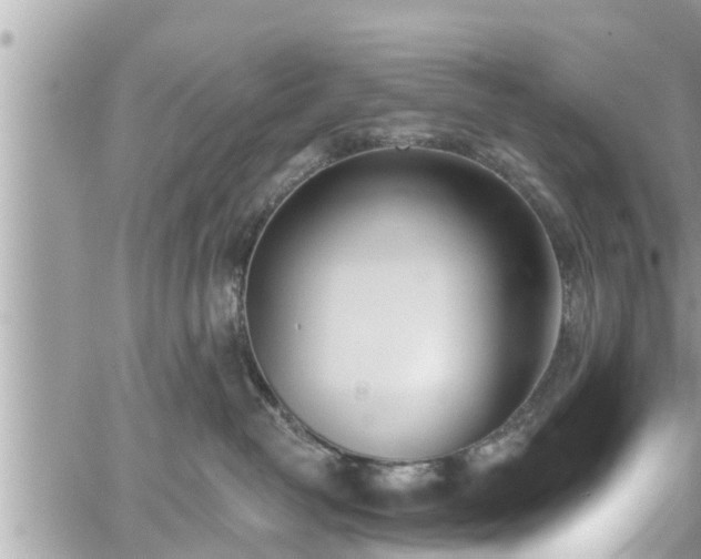 X0000060240382200510311528