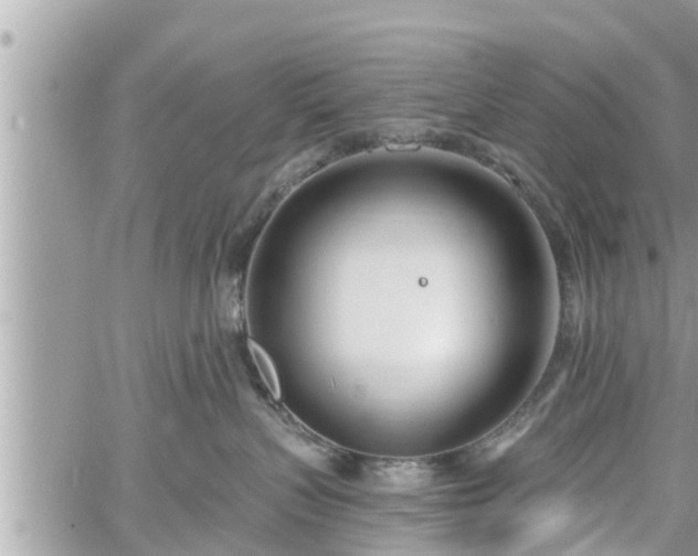 X0000060240383200510311528