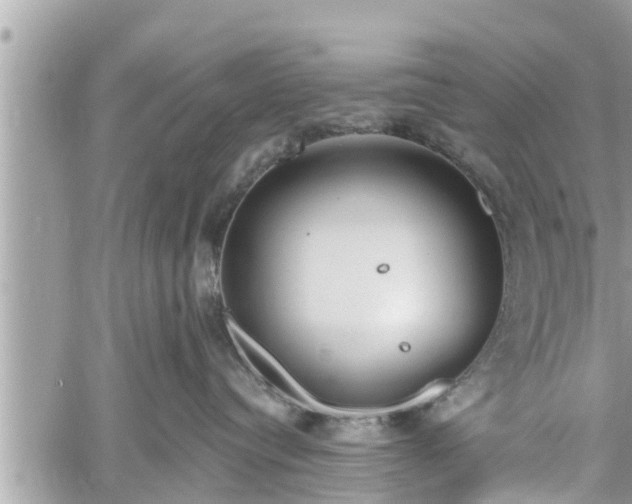 X0000060240384200510311528