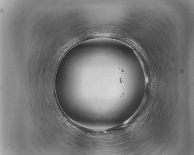 X0000060240385200510311528