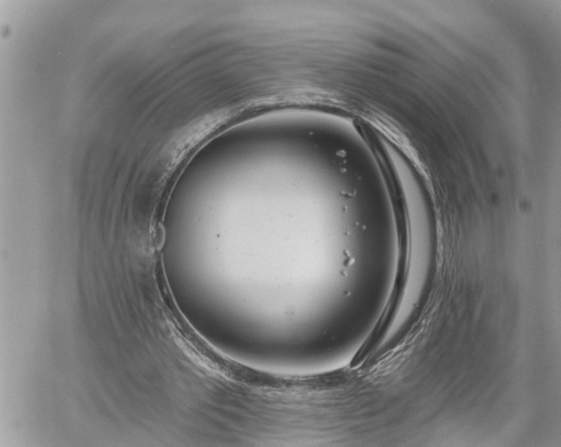 X0000060240389200510311527