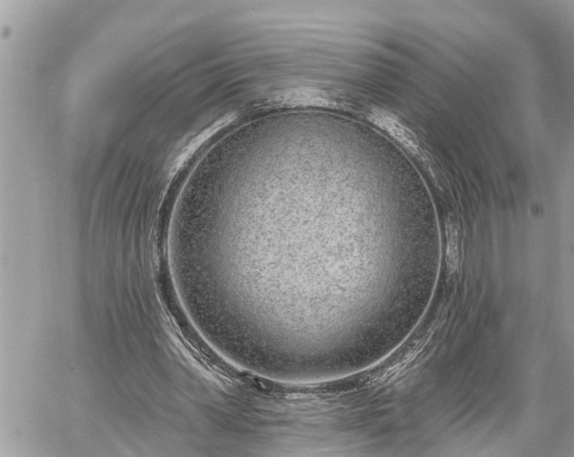 X0000060240390200510311527