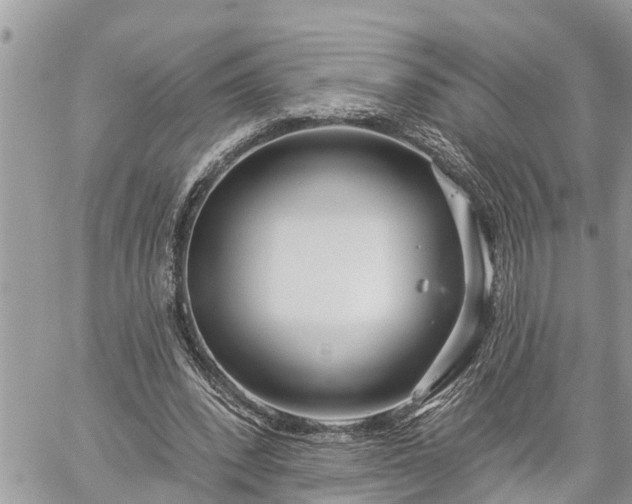 X0000060240392200510311527