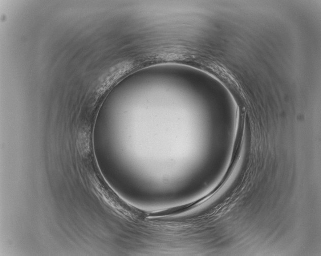 X0000060240393200510311527