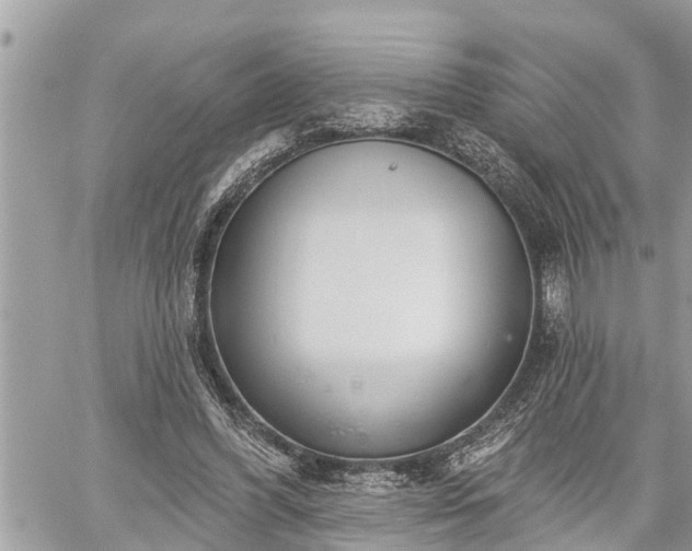 X0000060240396200510311527