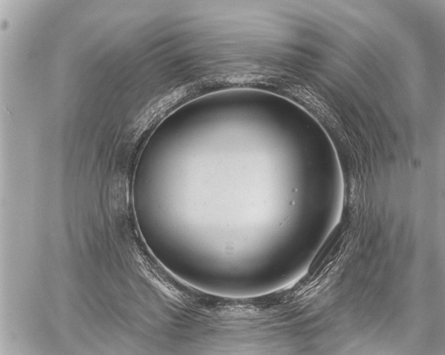 X0000060240397200510311527