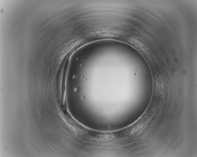 X0000060240398200510311527