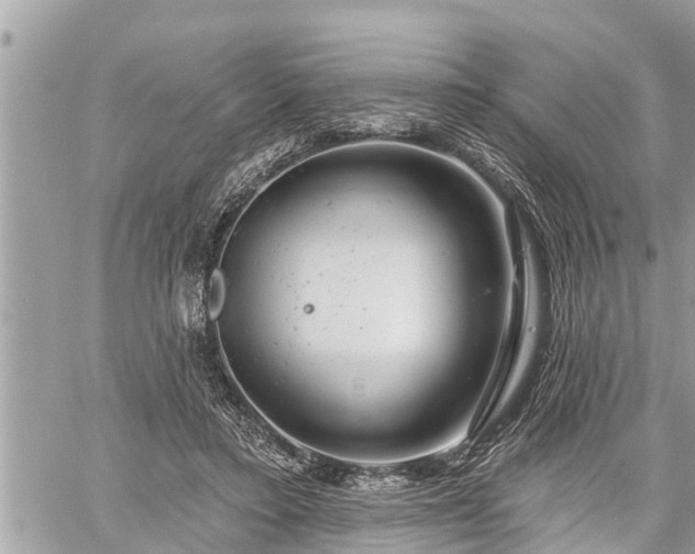 X0000060240403200510311527