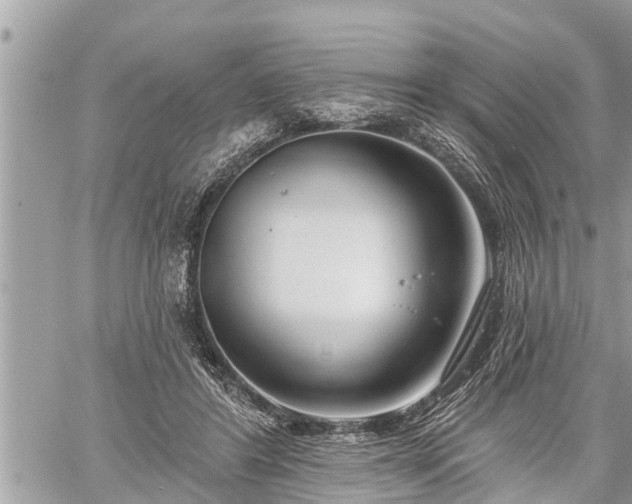 X0000060240404200510311527