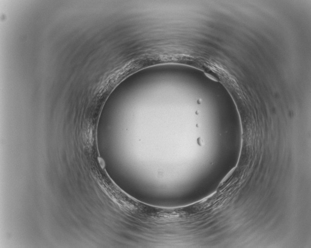 X0000060240405200510311527