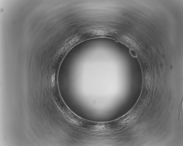 X0000060240406200510311527