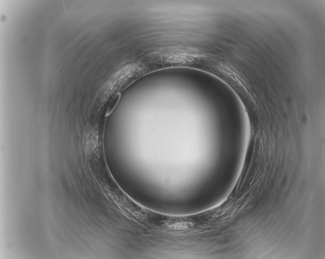 X0000060240407200510311527