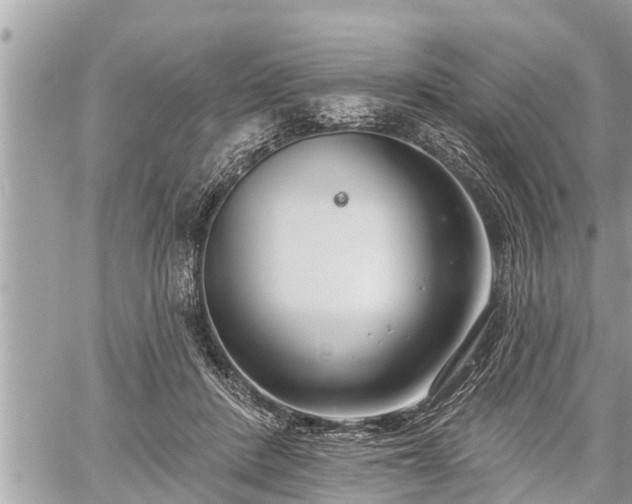 X0000060240408200510311527