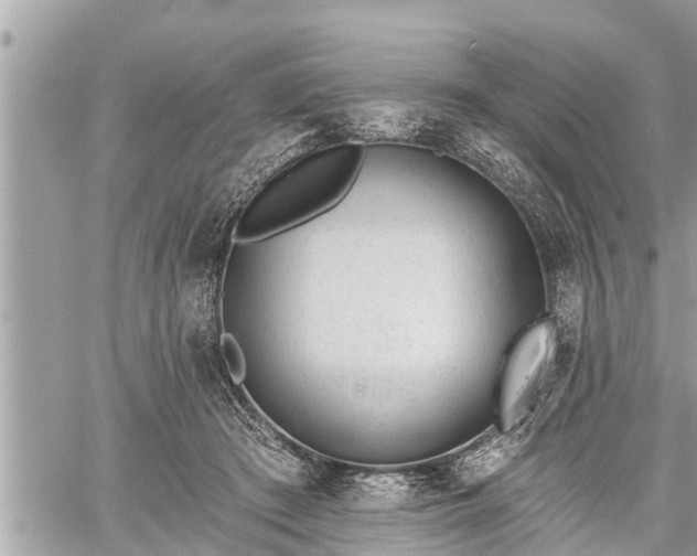 X0000060240409200510311527