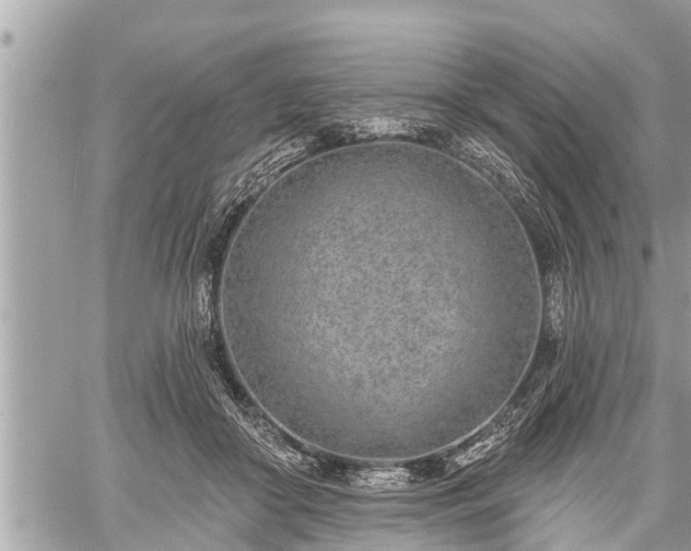 X0000060240410200510311527