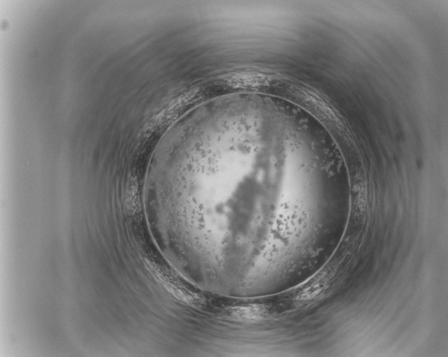 X0000060240411200510311527