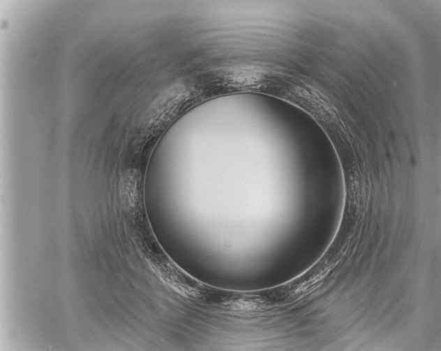 X0000060240412200510311527