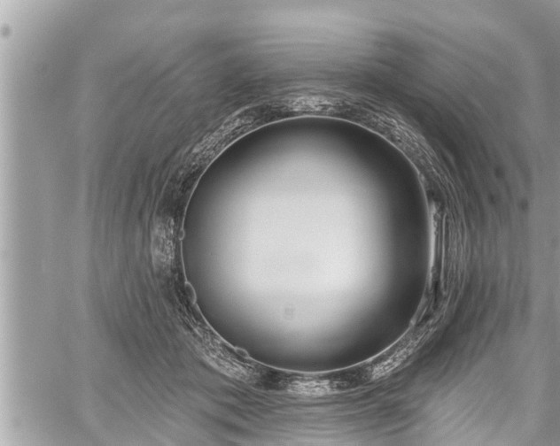 X0000060240413200510311527