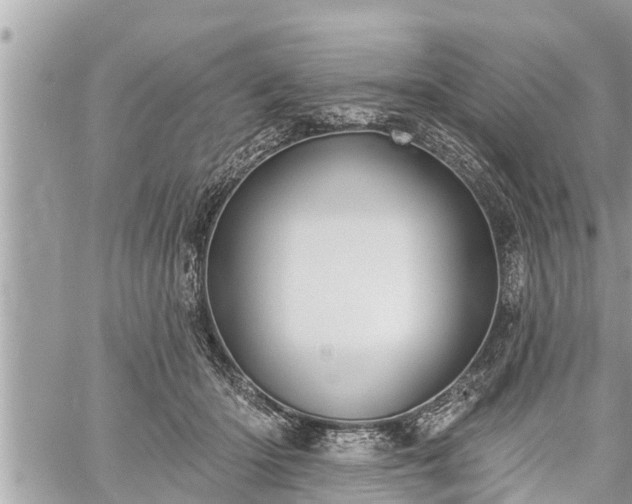 X0000060240414200510311527