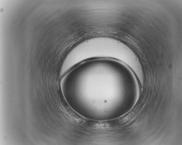 X0000060240415200510311527