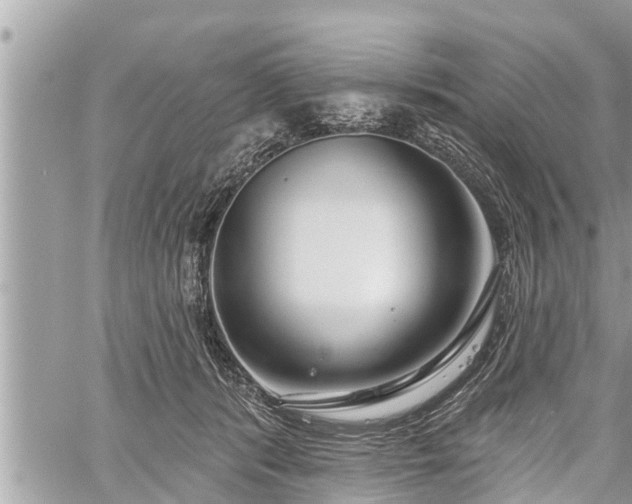 X0000060240416200510311527