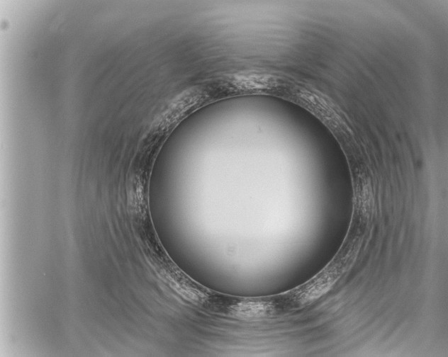 X0000060240418200510311527