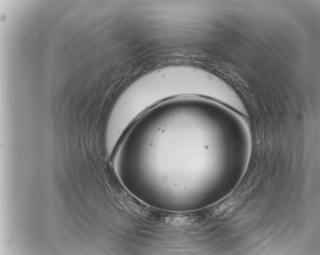 X0000060240419200510311527