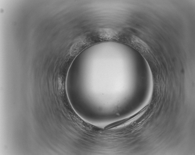 X0000060240420200510311527