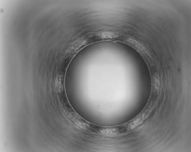 X0000060240422200510311527