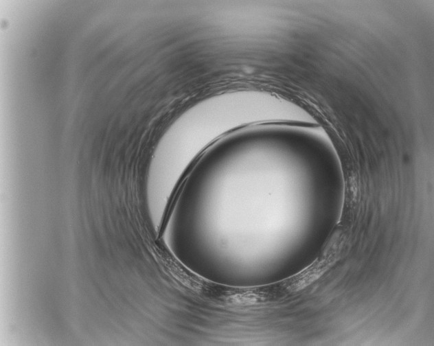 X0000060240423200510311527