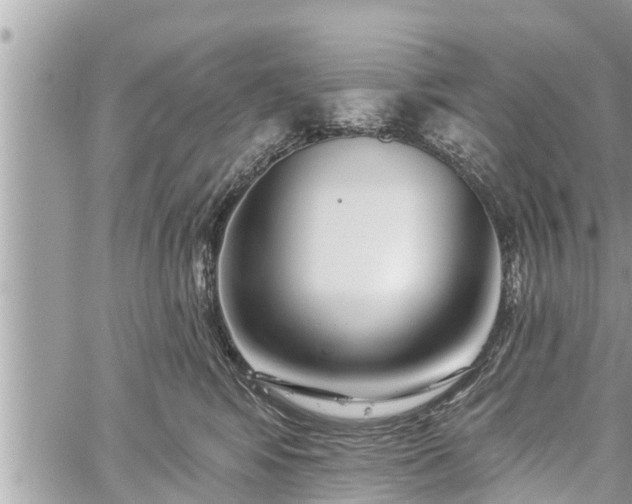 X0000060240424200510311527