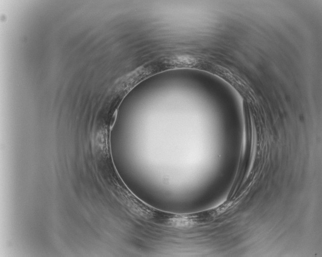 X0000060240425200510311527