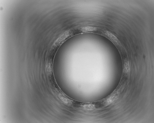 X0000060240426200510311527