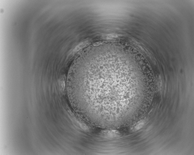 X0000060240427200510311527