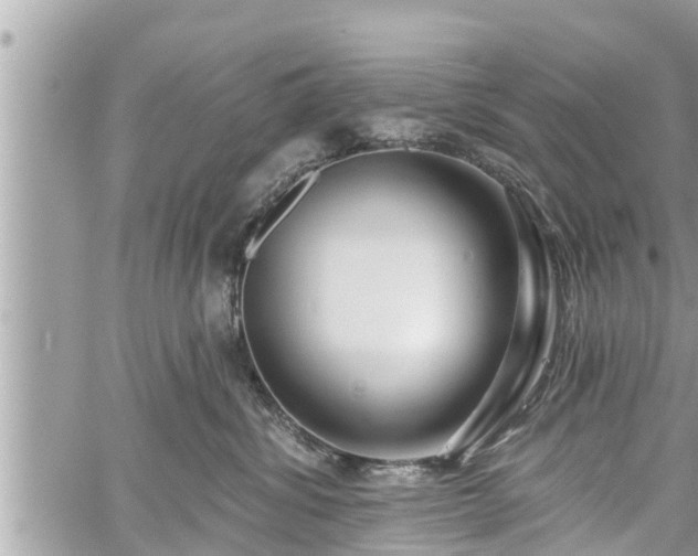 X0000060240428200510311527