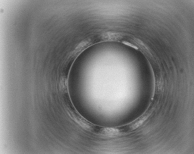 X0000060240429200510311527