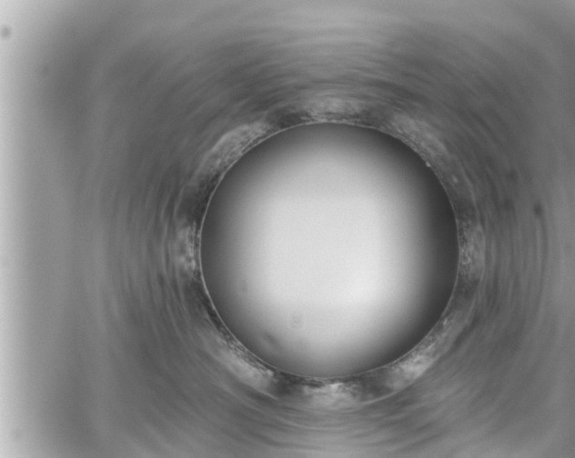 X0000060240430200510311527